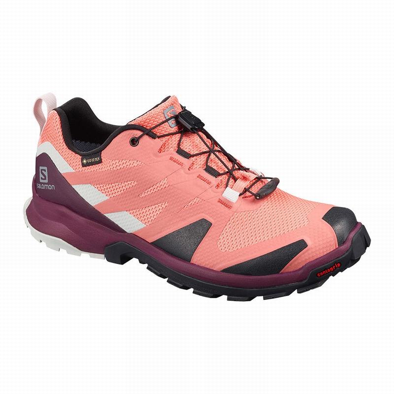 Salomon Singapore Womens Trail Running Shoes - XA ROGG GTX W Coral/Black | 12609-NPJV